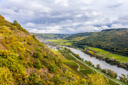 Moselle Hiking trails  pathway fall  Landscape Germany