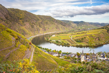 Autumnal Moselle landscape at Bremm Calmont region Germany
