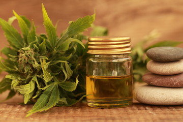 alternative medicine green leaves of medicinal cannabis with extract oil on a wooden table