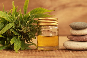 alternative medicine green leaves of medicinal cannabis with extract oil on a wooden table