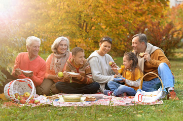big happy family on picnic
