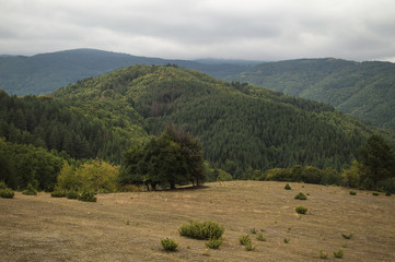 Cloudy day, Autumn, Bulgaria 2017