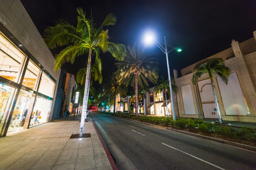 Palm trees in Rodeo Drive at night