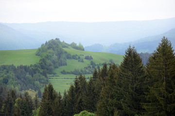 Beautiful gorge among the mountains covered with green vegetation and trees in the spring.