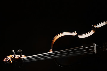 Violin orchestra music instrument isolated