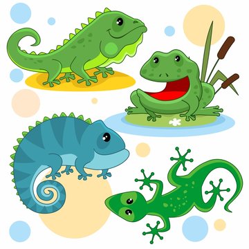 A set of cartoon pictures for children. Illustration with a lizard, iguana, toad, frog and chameleon.