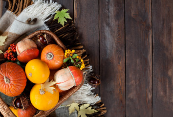 Autumn harvest pumpkins on wooden background