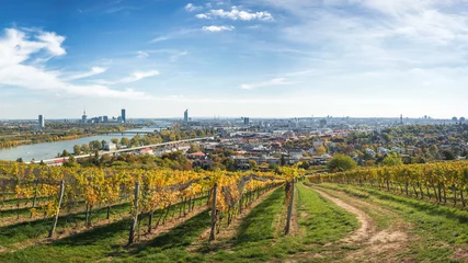 Deurstickers Wenen panorama over wijngaarden © Markus