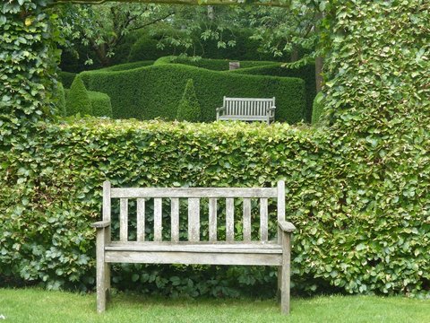 Panchine di legno con muri di arbusti nel giardino di Castillon in Normandia, Francia.