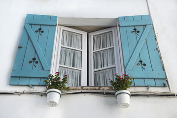 Window with flowerpots