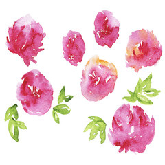 Set of abstract pink roses and green leaves on white background. Hand drawn vector watercolor illustration.