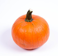 Pumpkin on a white background