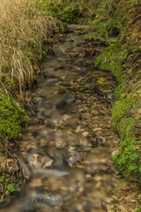 Small forest creek near Roprachtice village