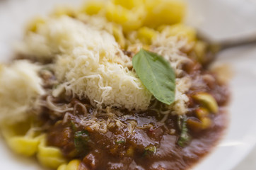 pasta with tomato sauce and cheese