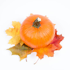 Pumpkin and autumn maple leaves on a white background