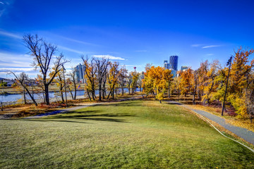 Calgary Skyline framed by fall colours