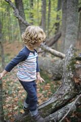 Lifestyle Little Boy with Long Blonde Hair Playing in a Forest on Trees in Autumn