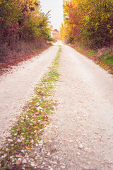 Fototapeta na wymiar Unpaved country road in autumn
