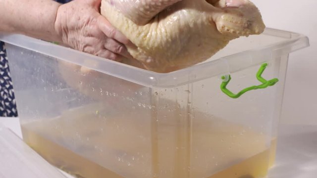Thanksgiving or Christmas roast stuffed turkey recipe. Woman cooking holiday whole turkey in the kitchen. Marinating, brining turkey for delicious flavor. Placing raw turkey in plastic container.