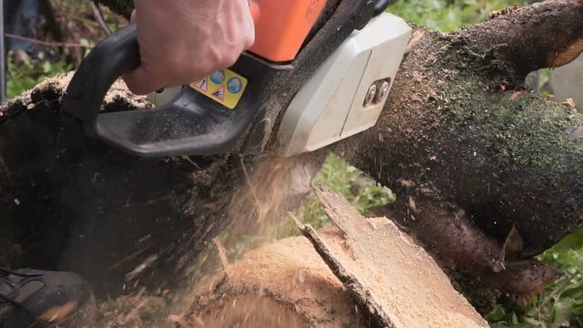 saws and sawdust closeup slow motion