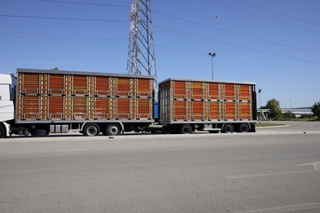 Naklejka premium live animal transport trucks