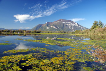 le grand colombier 