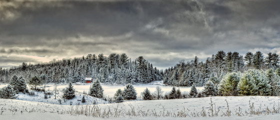 Cabin in Winter Wonderland