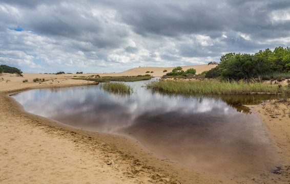 Landscape Of Jockey's Ridge State Park