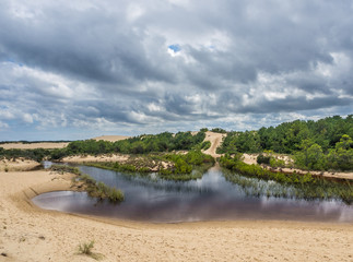 Landscape of Jockey's Ridge State Park