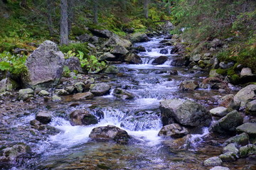 jesień w tatrach dolina 5 stawów, roztoka, świstówka i morskie oko © karolina