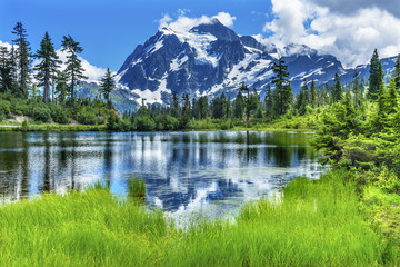 Picture Lake Evergreens Mount Shuksan Washington USA