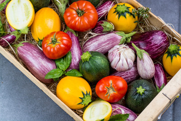 Fresh organic vegetables background, wallpaper - round courgette, small eggplants, diet concept, Italian and French food, healthy food.