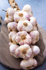 New harvest french violet garlic braid