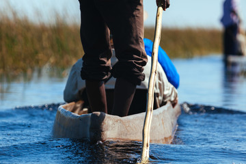 Man in canoe , Okavango river  - 176768267