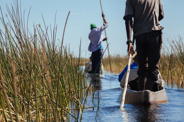 Man in canoe , Okavango river  - 176768498