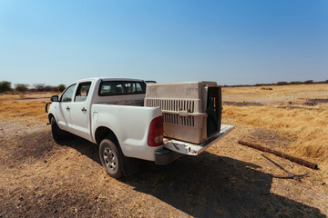 Kalahari desert Botswana