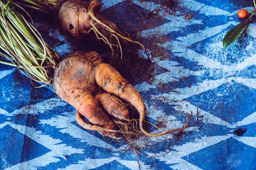 oddly shaped carrot on blue background