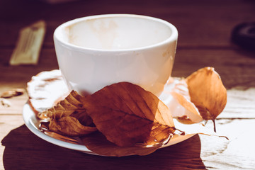 autumn coffee cup with brown leaves close up