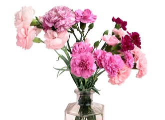 posy of carnations