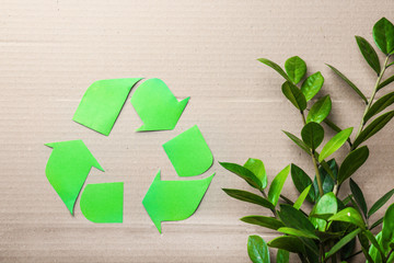 Symbol of recycling and green plant on cardboard background