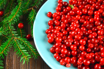 Cowberry, foxberry, cranberry, lingonberry on a blue ceramic dish on a brown wooden table. Surrounded by fir branches.