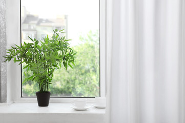 Window with beautiful white curtains and houseplant on sill
