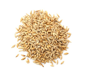 Wheat grass seeds on white background