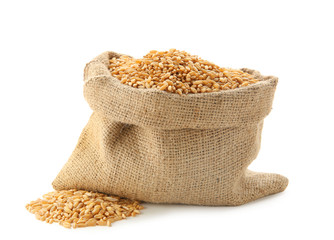 Wheat grass seeds in sackcloth bag on white background