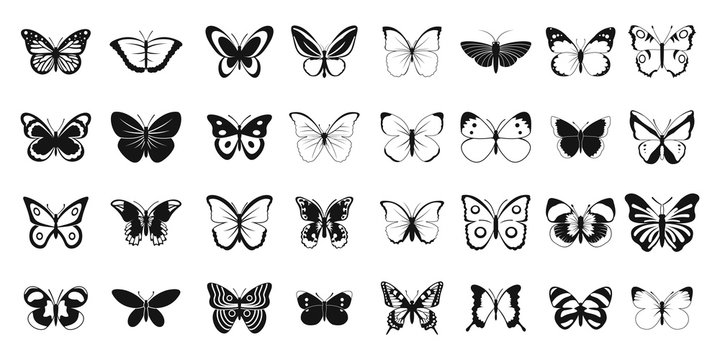 Line Art Drawing Butterfly Design Graphic by Muhammad Rizky Klinsman ·  Creative Fabrica