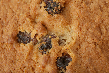 Delicious oatmeal cookie with raisins, closeup