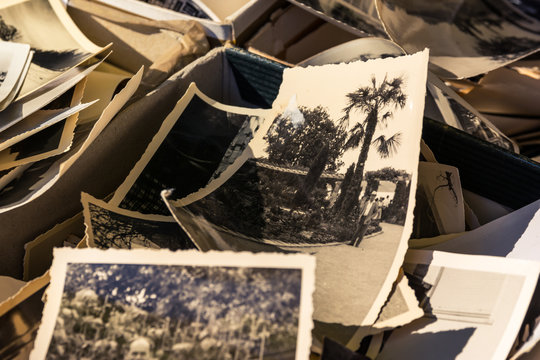 Old Box of Photos Edges Worn Collection Vintage History Family Nostalgia