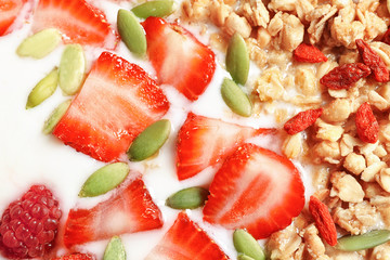 Oatmeal with goji berries and milk, closeup