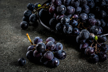 Raw natural organic farmer's black grapes, bunches on black plate, dark stone background, copy space