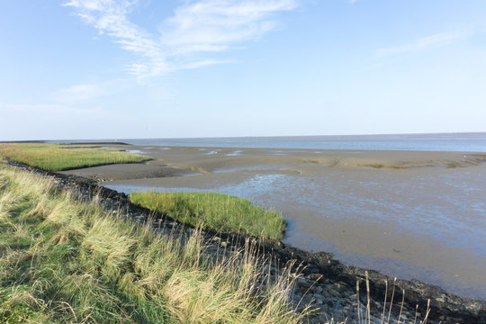 Am watt